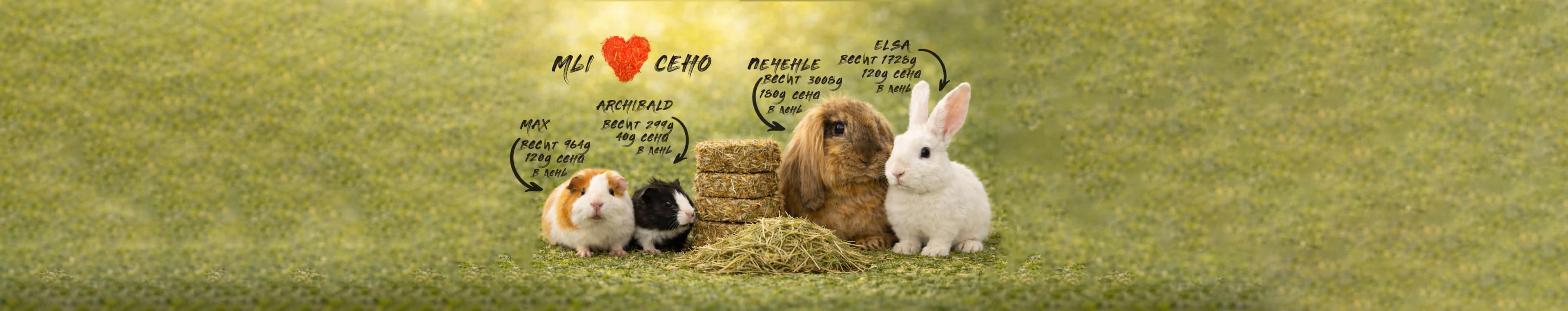 Фон с сеном